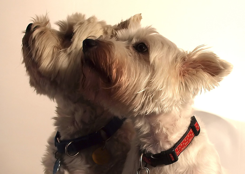Winnie and Cassie