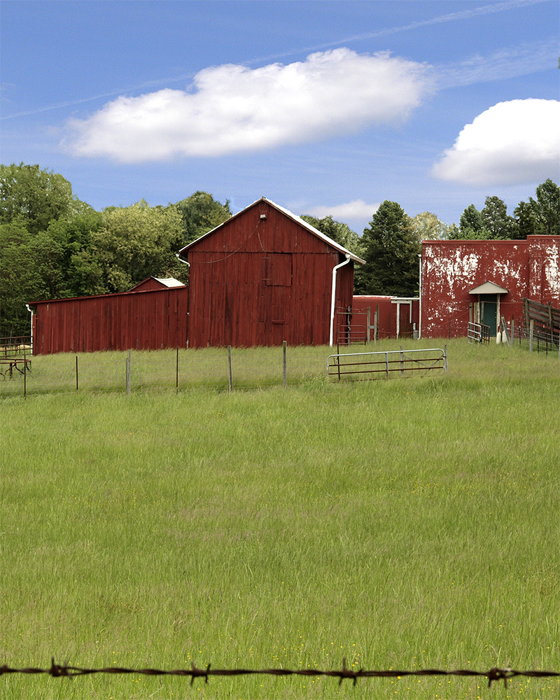 Red Barn