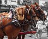 Fourth of July Parade by Mark Stodter