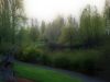 Portland, Oregon by Nyal Cammack