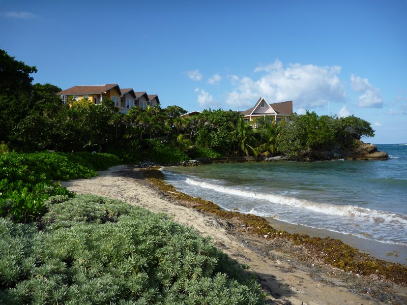 Paya Bay, Roatan Honduras