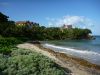Paya Bay, Roatan Honduras by Nyal Cammack