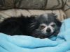 Sleeping Sally Soup