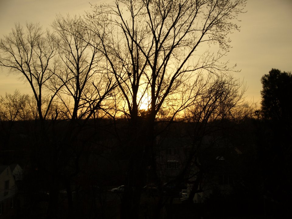 Early morning