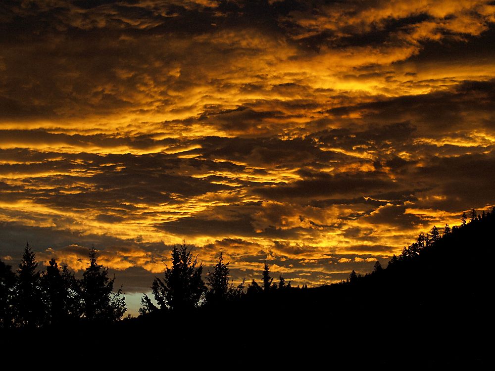 Oregon Sunrise