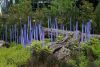 Chihuly Garden and Glass 2