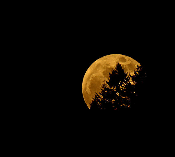 Super-Moon