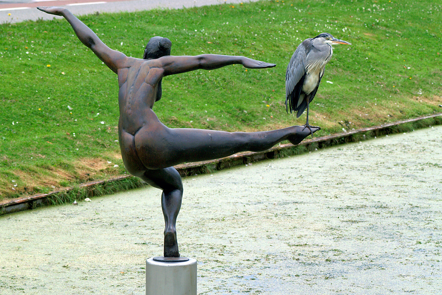 Shall we dance