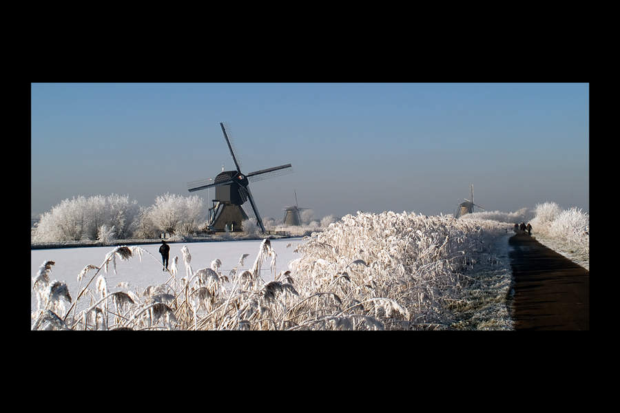 Upcoming winter 2