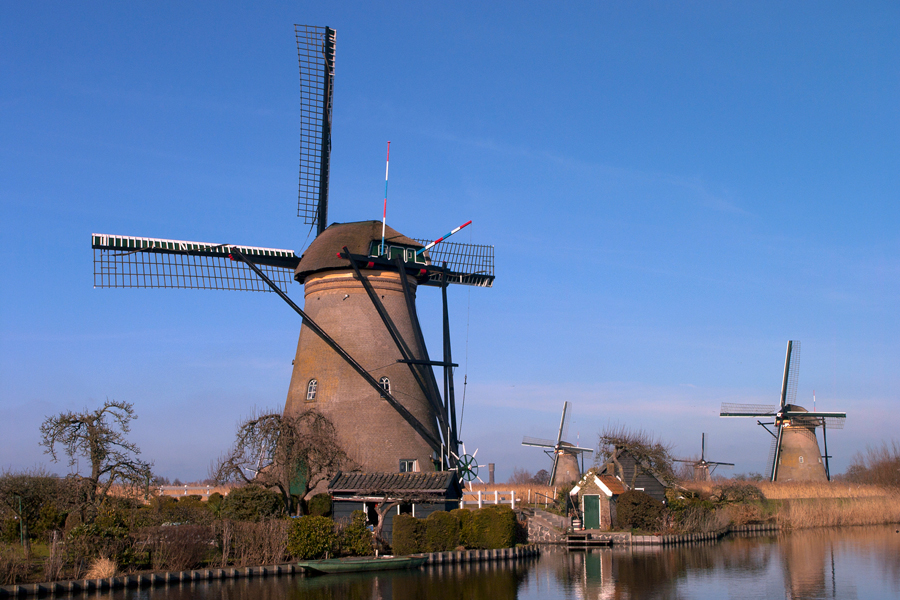 spring is on its way (2)