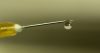 water drop by Barry Parker