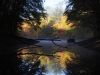 Pause for reflection by Eben Gay