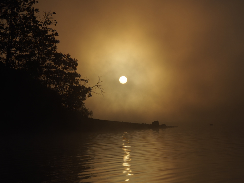 Sunrise through fog