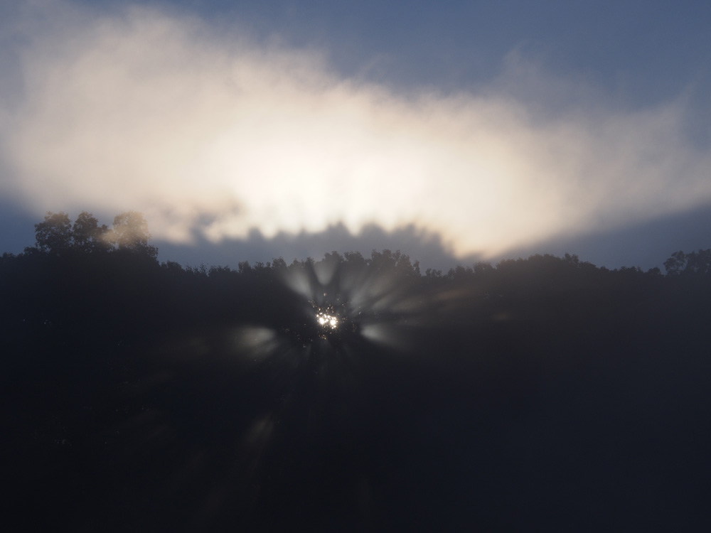 Sun through trees
