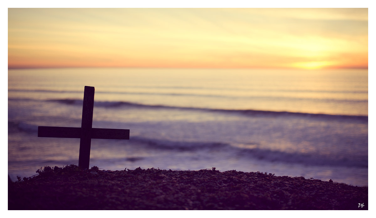 The cross