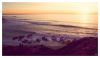 Dusk at the beach by dee vee