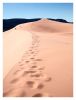 Footprints in the sand by dee vee