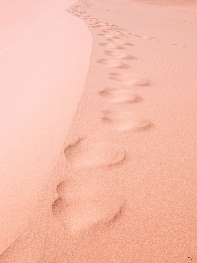 Traces
