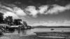 Oyster bay by dee vee