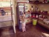 Learning to spend at young age