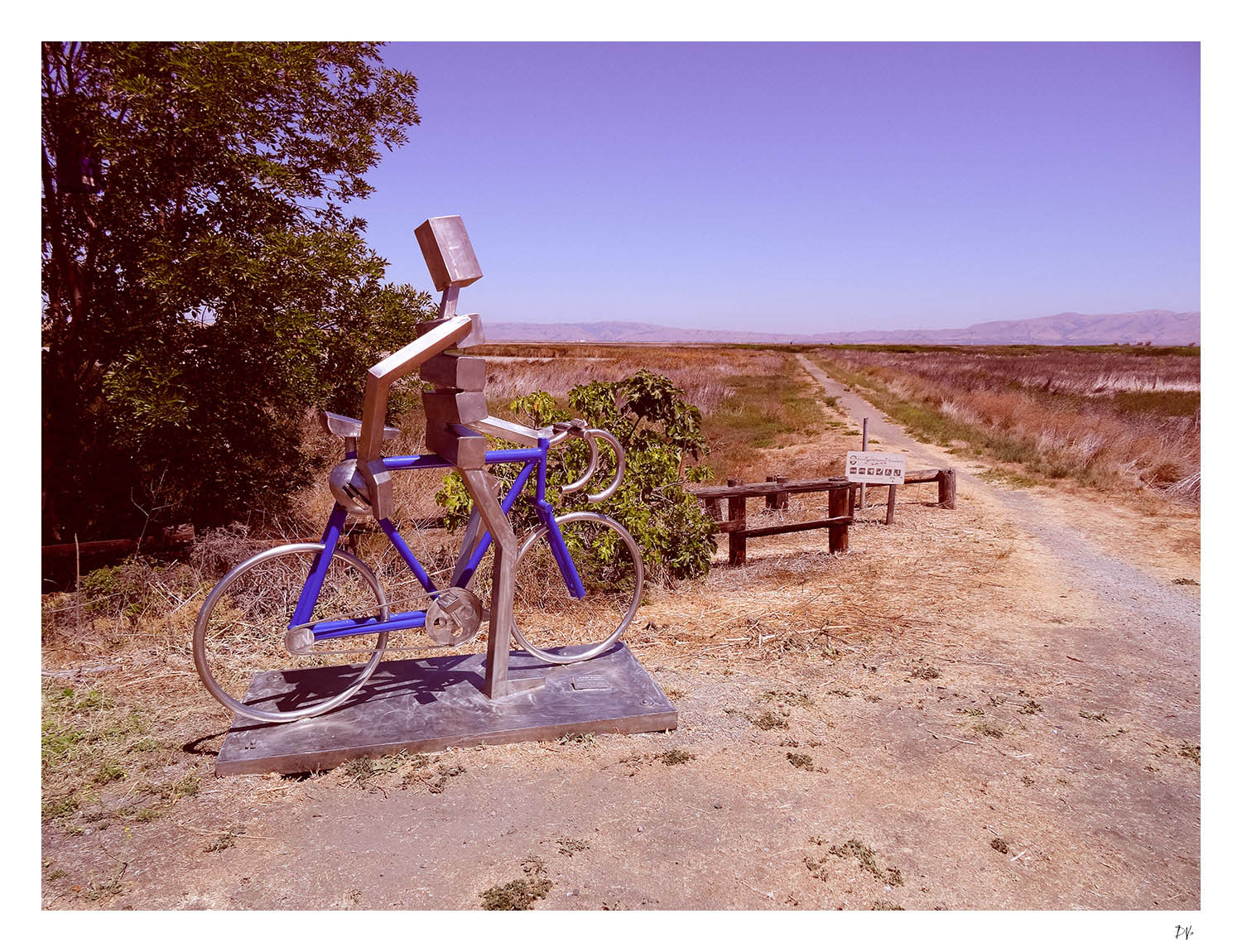 The cyclist