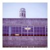 Coit tower by dee vee