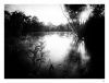 On golden pond by dee vee