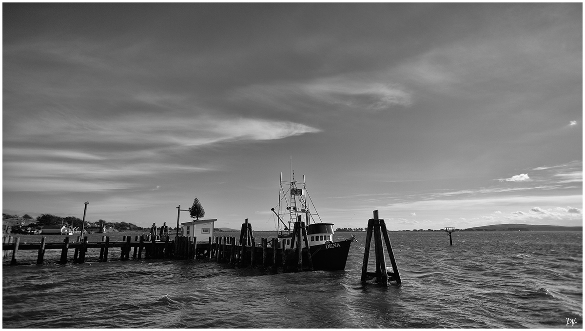 Pier