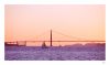 Sails under the bridge by dee vee
