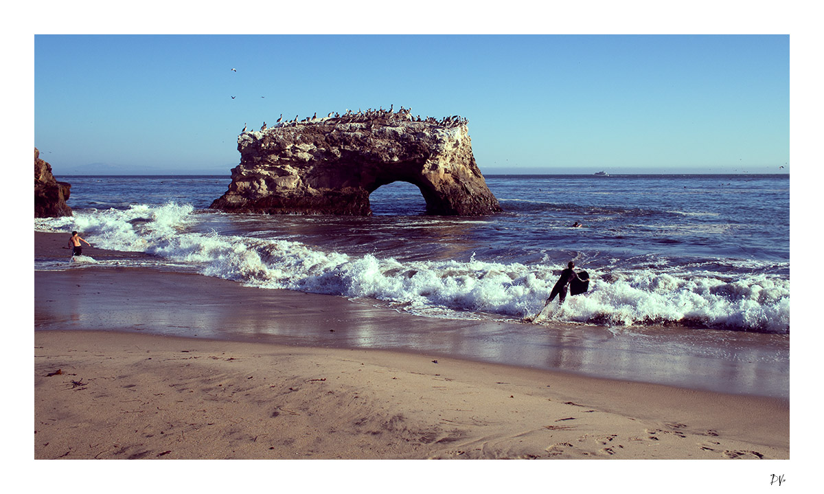 Surfer