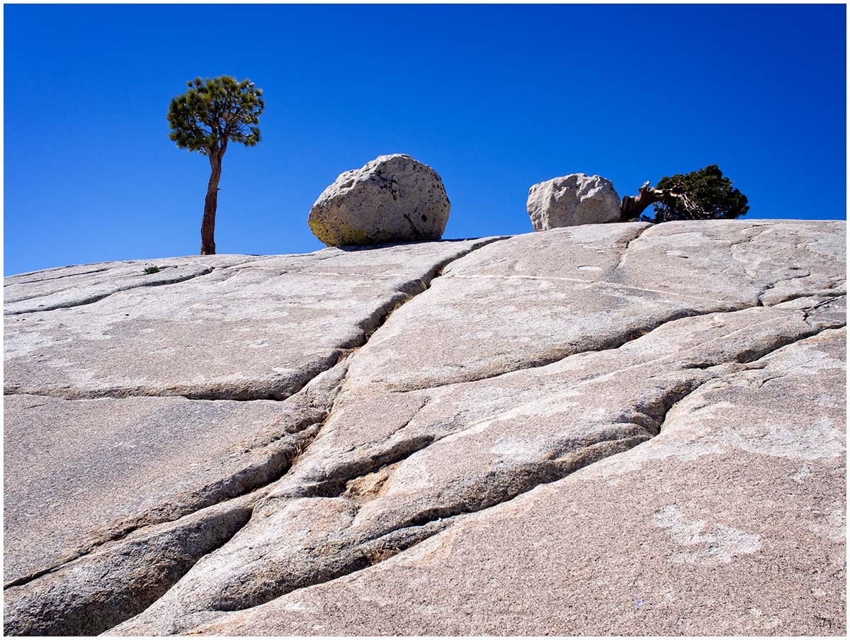 Olmsted Point