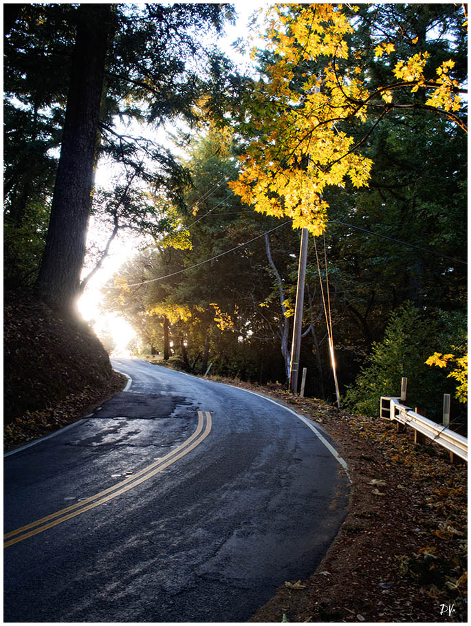 The bend
