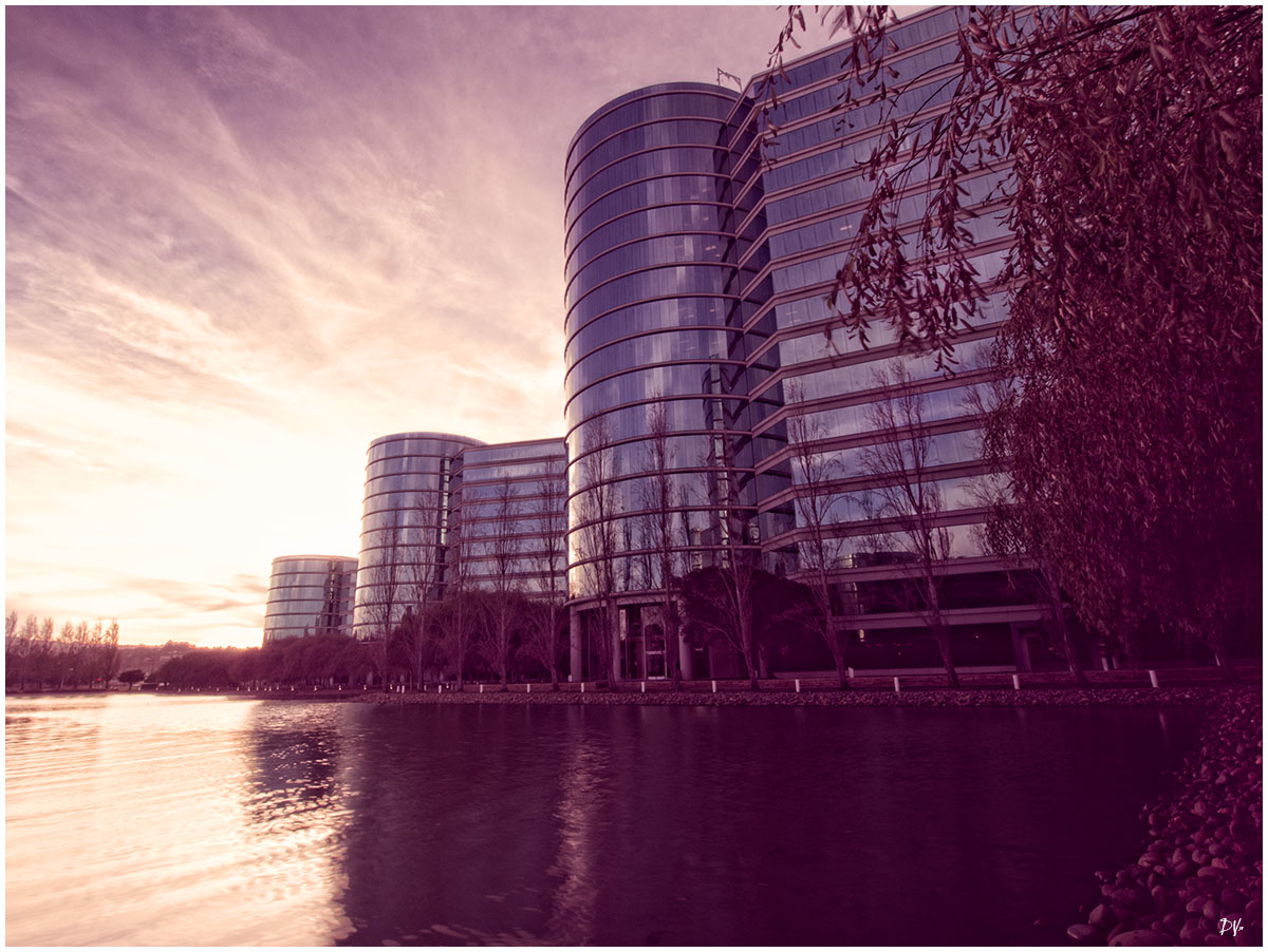 Oracle (4)