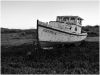 Grounded by dee vee