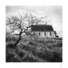 Church by dee vee