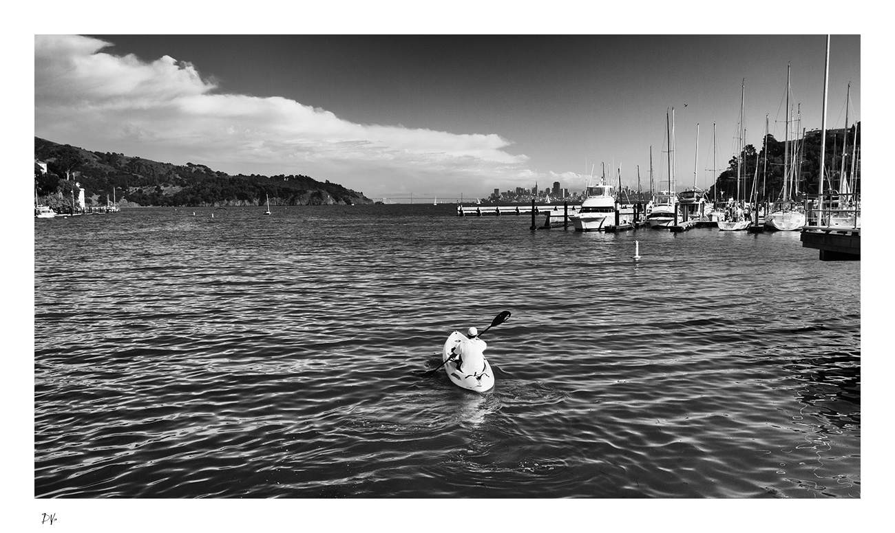 The kayaker