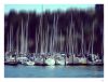 Rock the boats by dee vee