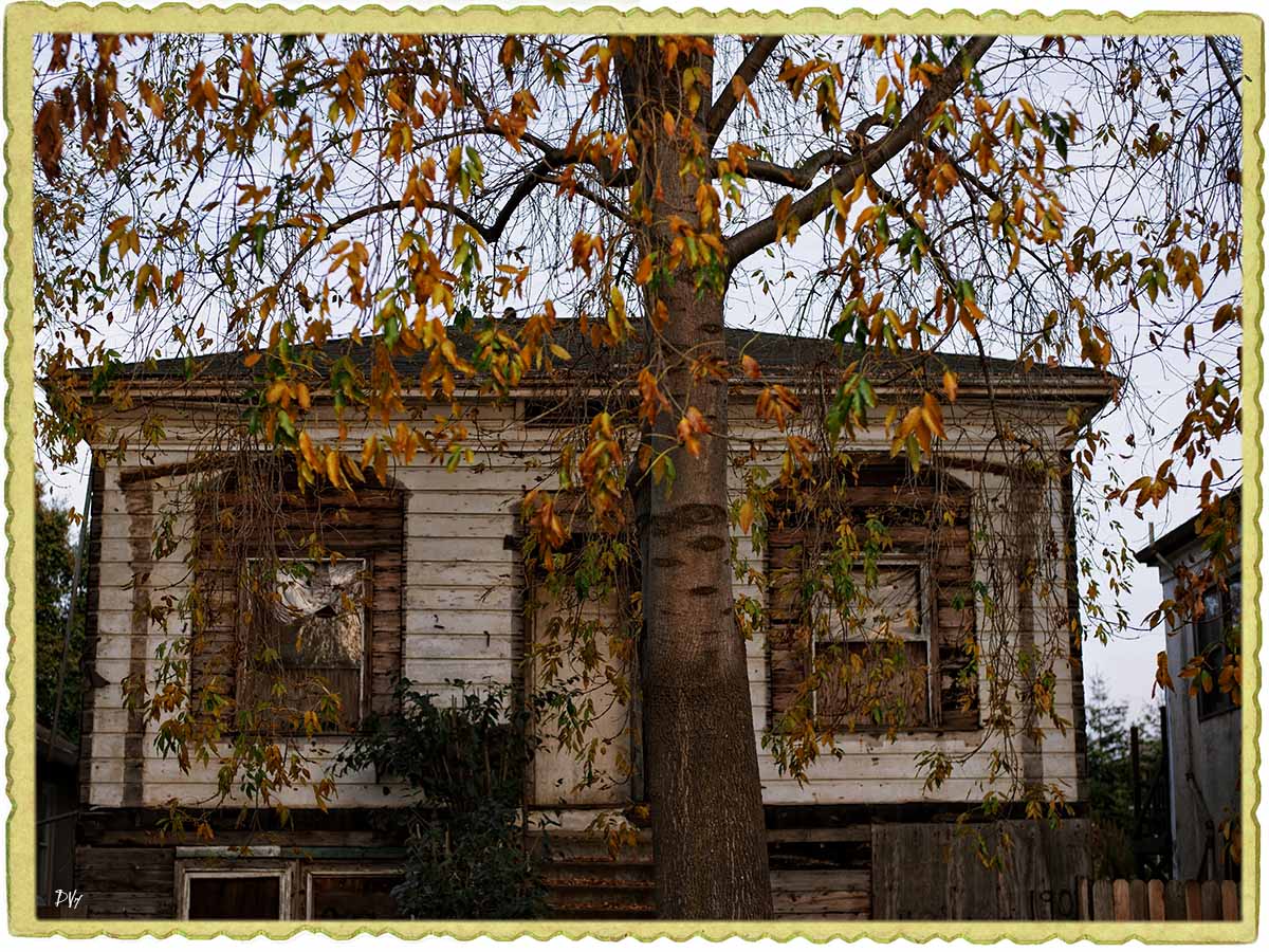 Tree House