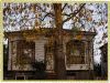 Tree House