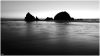 Seal rocks by dee vee