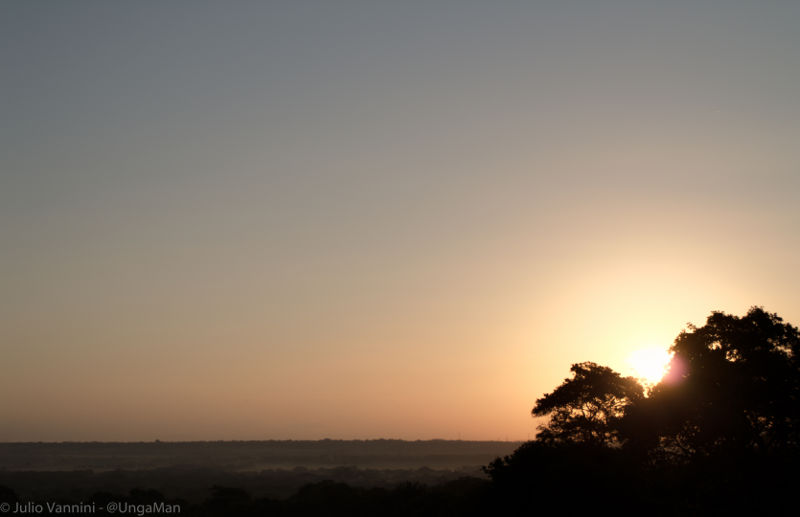 Dawn