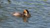 Good Catch by Fons van Swaal