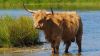 Cooling off by Fons van Swaal