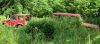 TM edit P17_lowres